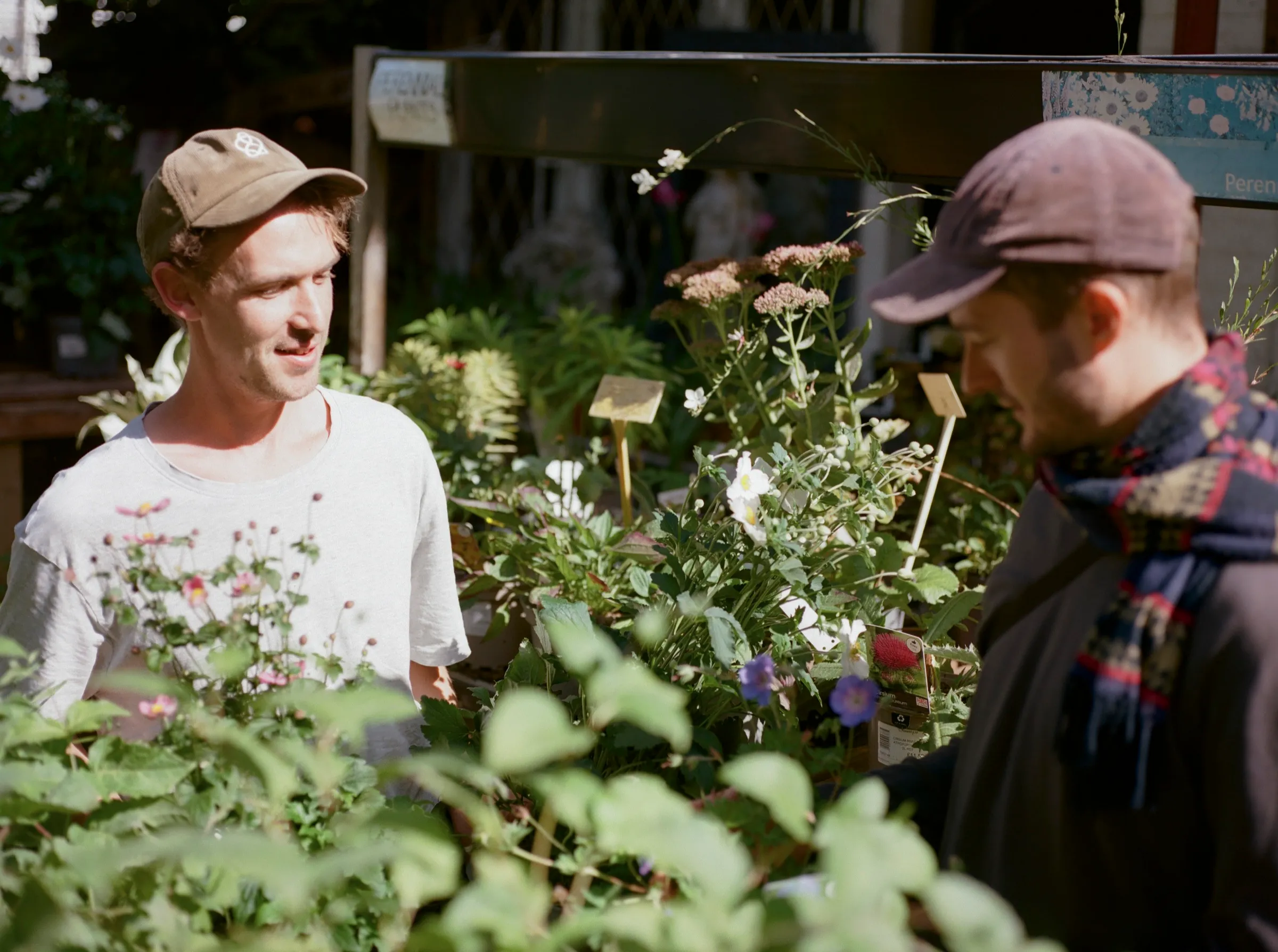 Toby and Finn at work in the studio garden