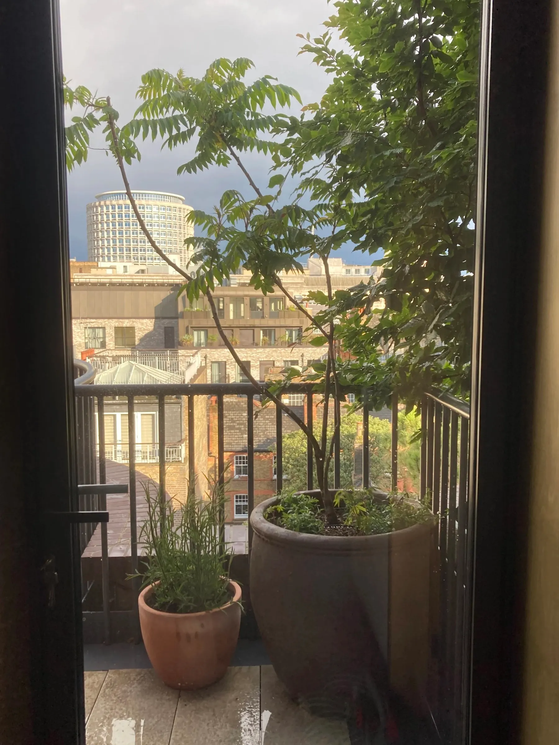 Covent Garden — photograph 2