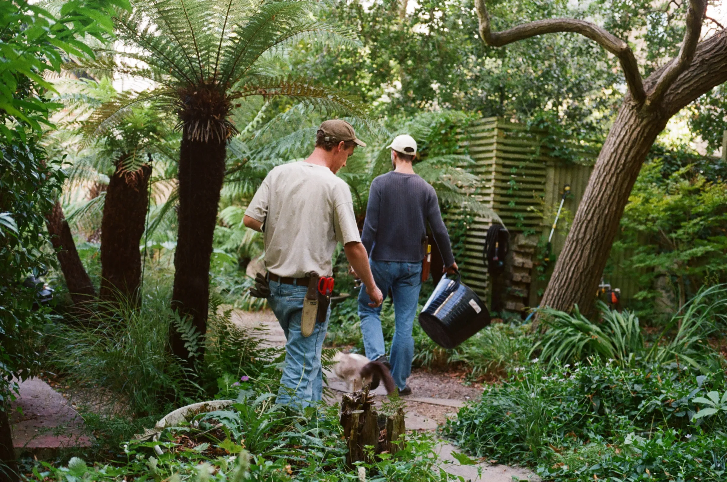Garden — De Lacey & Cooke