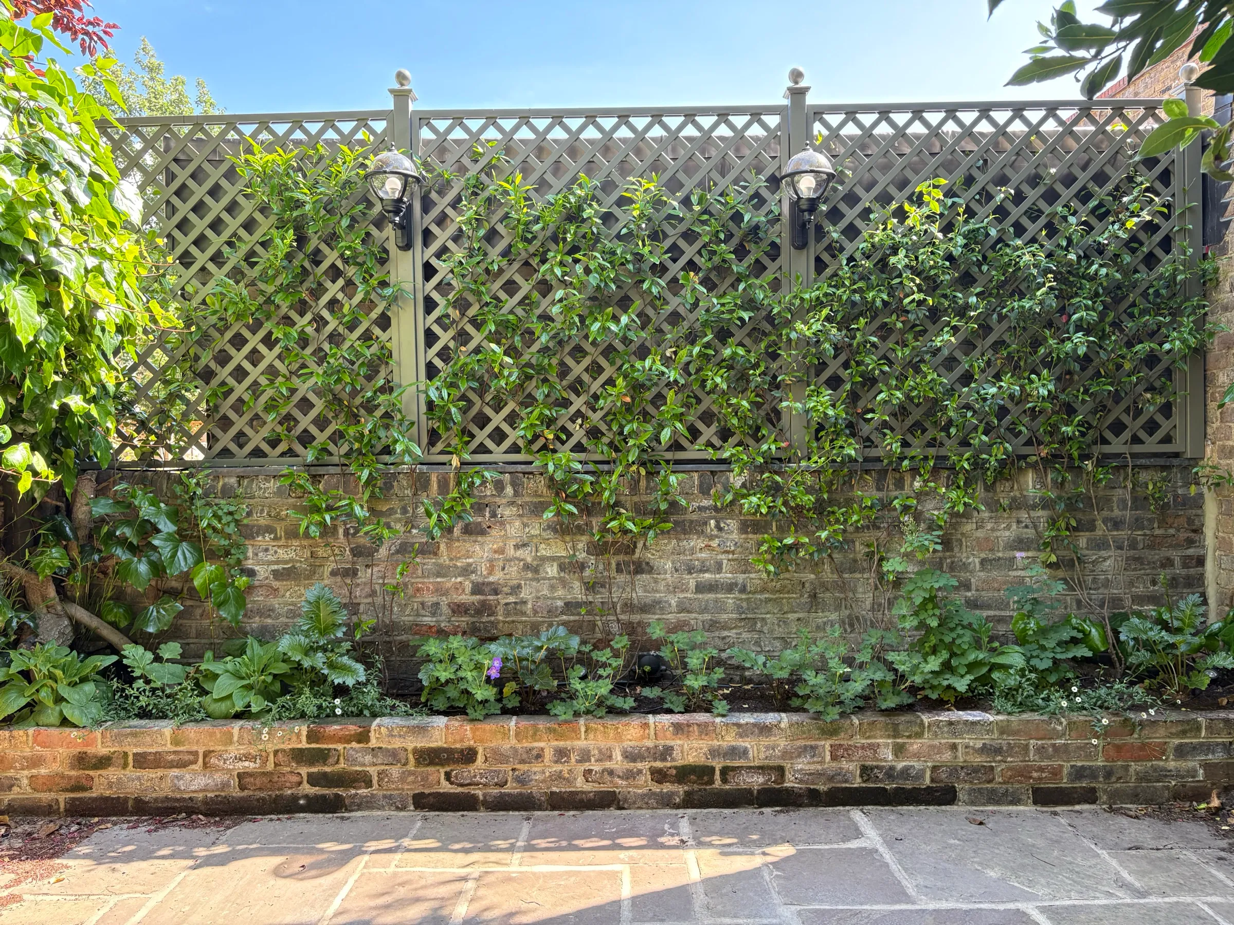 Stafford Terrace