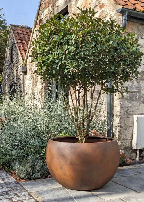 Rust Sphere Bowl
