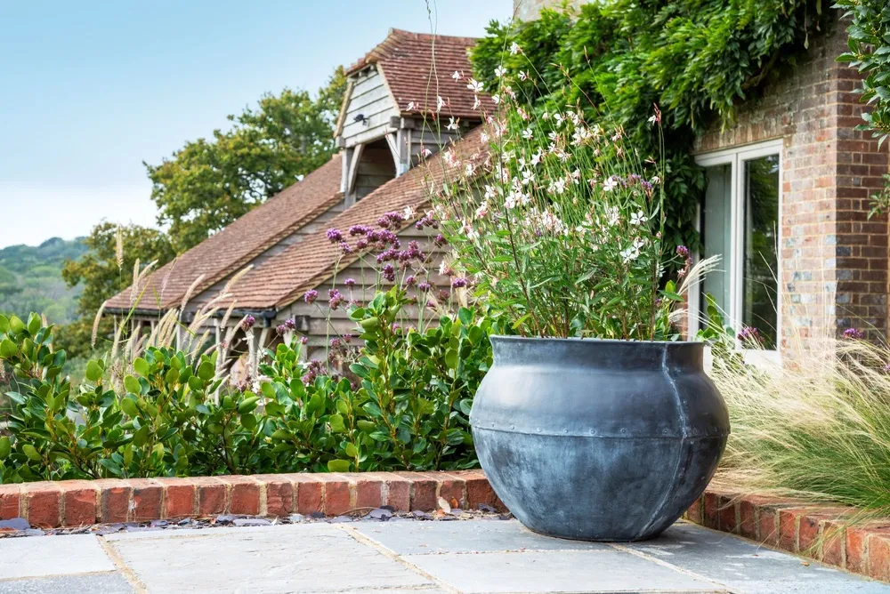 A large lead-effect belly urn planted on a terrace