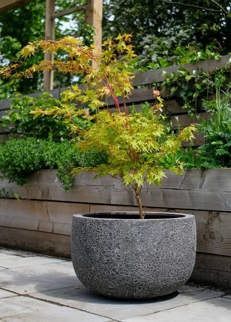 Lava-Texture Bowl