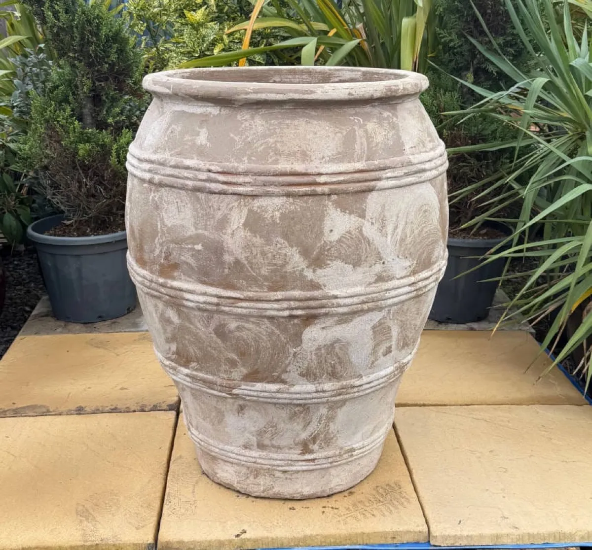 Limewashed Ringed Olive Jar