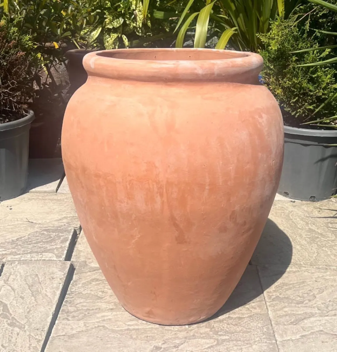 Bellied Terracotta Jar