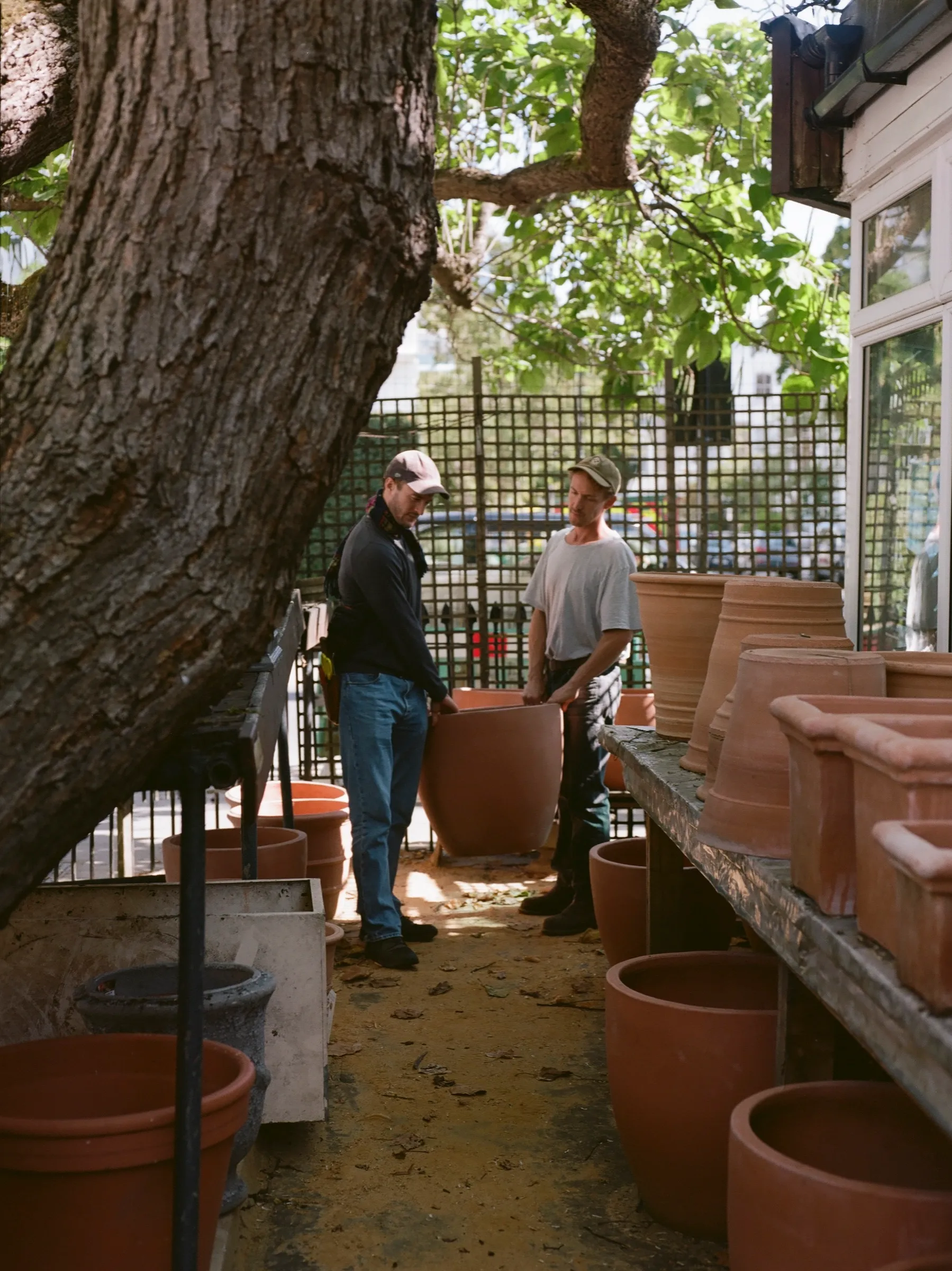 Terracotta pots in the De Lacey & Cooke collection